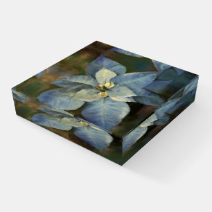 Paper Weight Blue Poinsettia
