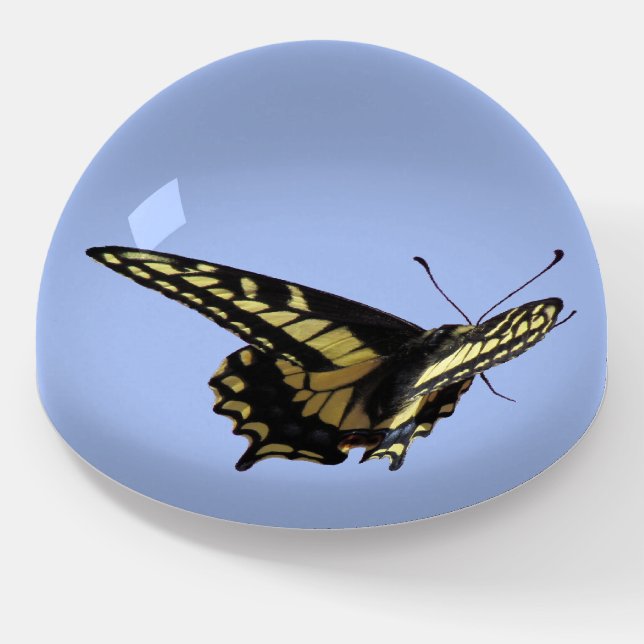 Paper Weight - Buterfly Specimen (Angled)