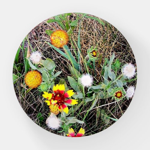 Paper Weight Colorado Wild Flowers 1