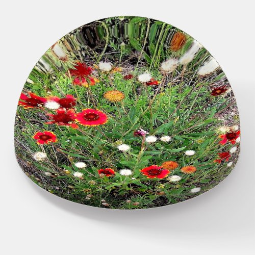 Paper Weight Colorado Wild Flowers 2