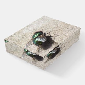 Paper Weight - House Fly
