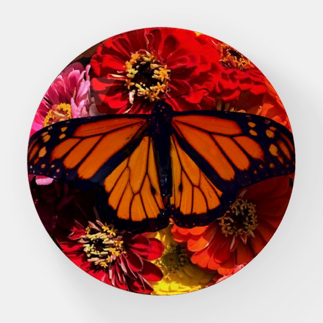 Paper Weight - Monarch Butterfly Zinnias (Front)