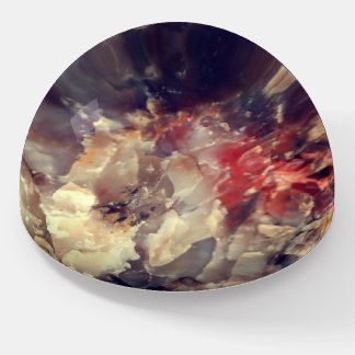 Paper Weight - Quartz in Petrified Log 3 Red