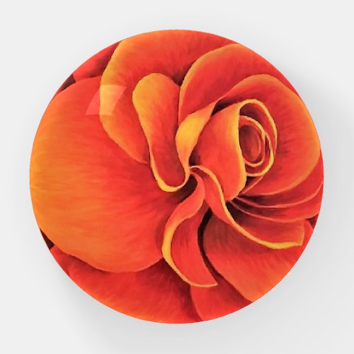 Paper Weight several shapes Orange Begonia