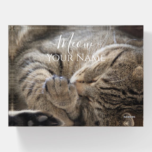 Paper Weight - Sleeping Cat - HAMbyWG (Front)