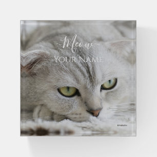 Paper Weight - White Cat - HAMbyWG