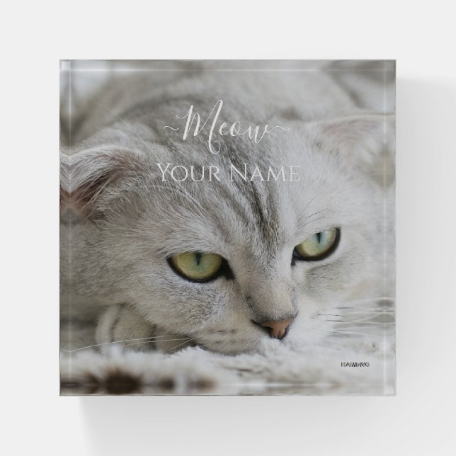 Paper Weight - White Cat - HAMbyWG (Front)