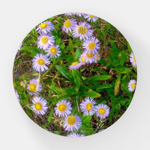 Paper Weight Yellowstone Wildflowers