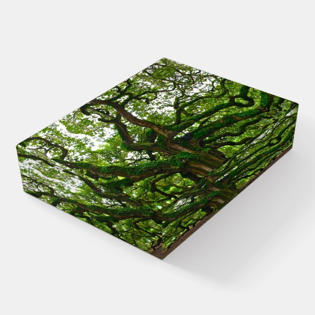 PAPERWEIGHT (Angled)