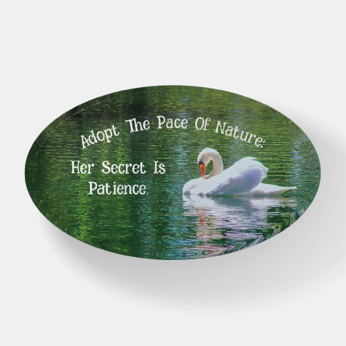 PAPERWEIGHT Beautiful Swan And Patience Quote Paperweight