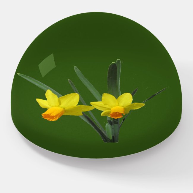 Paperweight - Daffodil Blossoms