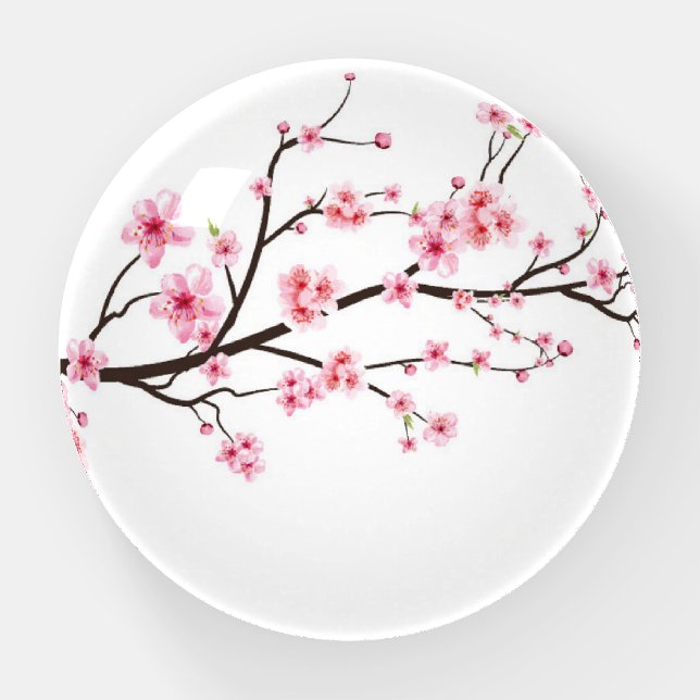 PAPERWEIGHT : FLORAL : PINK CHERRY BLOSSOM : SAKUR (Front)