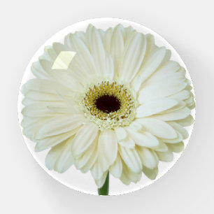 Paperweight - Gerbera Diasy Head