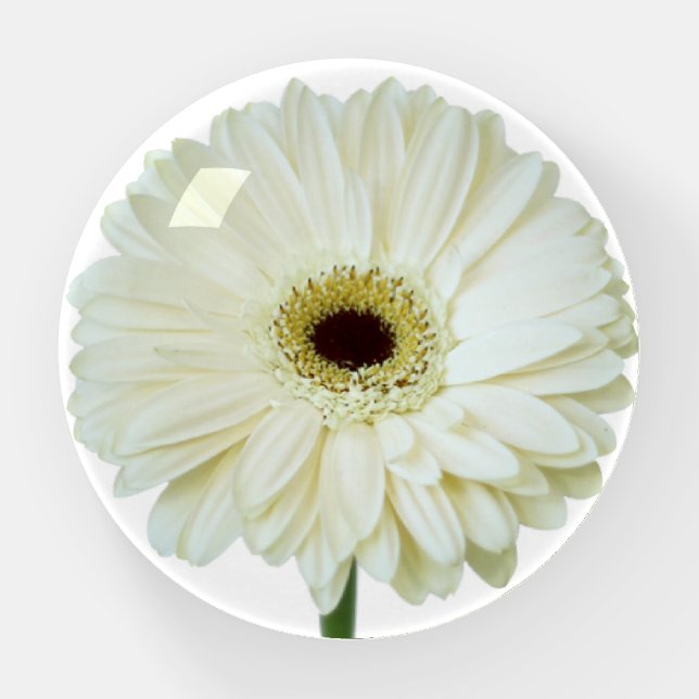 Paperweight - Gerbera Diasy Head (Front)