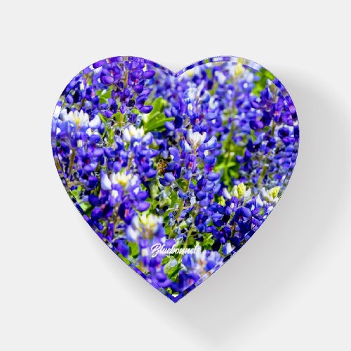 Paperweight Heart Shaped With Texas Bluebonnets