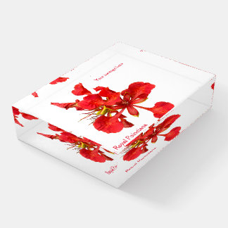 Paperweight Royal Poinciana