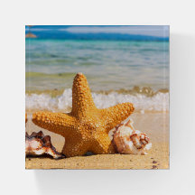 Paperweight - Starfish At The Beach