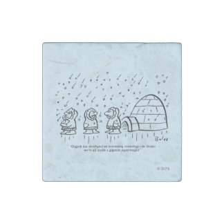 Paperweight Stone Magnet