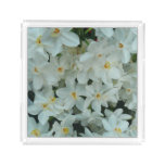 Paperwhite Narcissus Delicate White Flowers Acrylic Tray