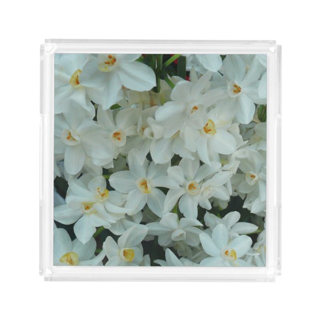 Paperwhite Narcissus Delicate White Flowers Acrylic Tray (Front)