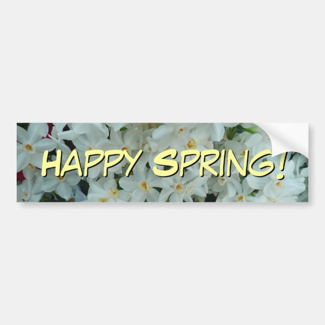 Paperwhite Narcissus Delicate White Flowers Bumper Sticker (Front)