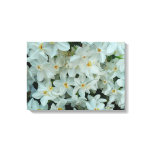 Paperwhite Narcissus Delicate White Flowers Canvas Print