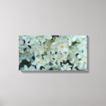 Paperwhite Narcissus Delicate White Flowers Canvas Print