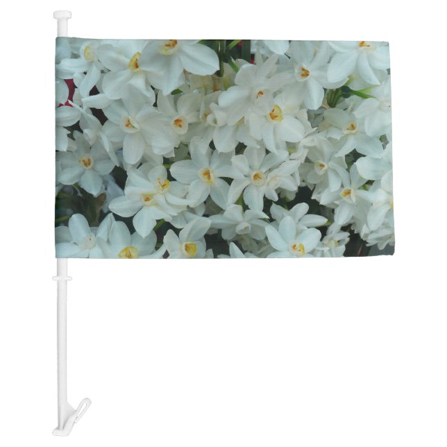 Paperwhite Narcissus Delicate White Flowers Car Flag (Front)