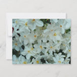 Paperwhite Narcissus Delicate White Flowers Card