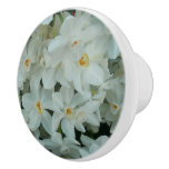 Paperwhite Narcissus Delicate White Flowers Ceramic Knob