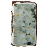 Paperwhite Narcissus Delicate White Flowers Chocolate Brownie (Rotated)
