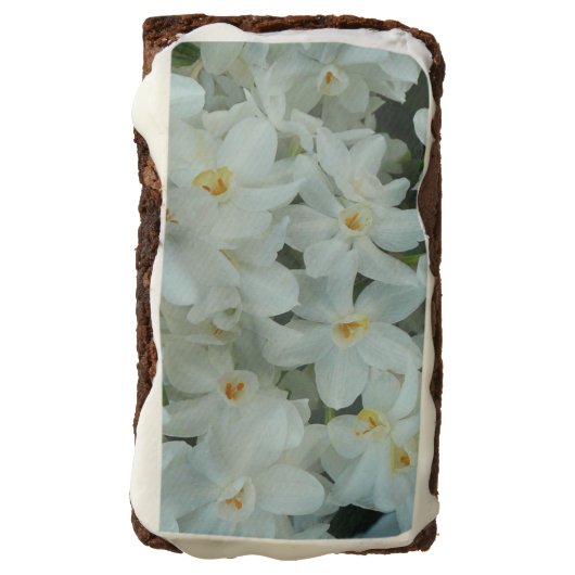 Paperwhite Narcissus Delicate White Flowers Chocolate Brownie (Rotated)