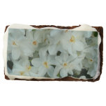 Paperwhite Narcissus Delicate White Flowers Chocolate Brownie