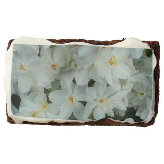 Paperwhite Narcissus Delicate White Flowers Chocolate Brownie (Front)