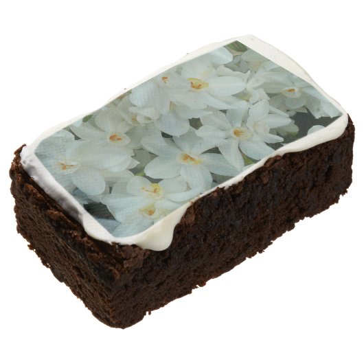 Paperwhite Narcissus Delicate White Flowers Chocolate Brownie (Angled)