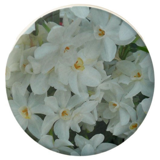 Paperwhite Narcissus Delicate White Flowers Chocolate Covered Oreo (Front)