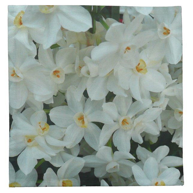 Paperwhite Narcissus Delicate White Flowers Cloth Napkin (Front)