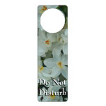 Paperwhite Narcissus Delicate White Flowers Door Hanger
