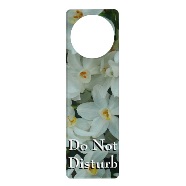 Paperwhite Narcissus Delicate White Flowers Door Hanger (Front)