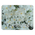 Paperwhite Narcissus Delicate White Flowers Door Sign
