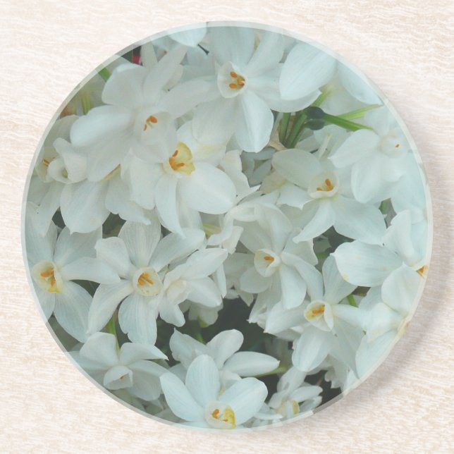 Paperwhite Narcissus Delicate White Flowers Drink Coaster (Front)