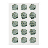 Paperwhite Narcissus Delicate White Flowers Edible Frosting Rounds (Sheet)