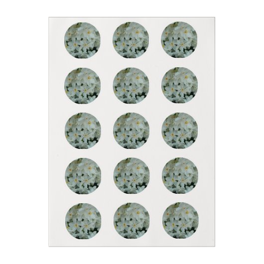 Paperwhite Narcissus Delicate White Flowers Edible Frosting Rounds (Sheet)