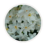 Paperwhite Narcissus Delicate White Flowers Edible Frosting Rounds