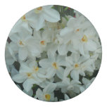 Paperwhite Narcissus Delicate White Flowers Eraser