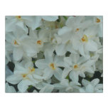 Paperwhite Narcissus Delicate White Flowers Faux Canvas Print