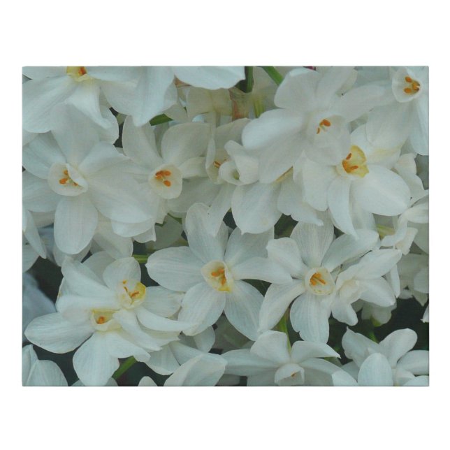 Paperwhite Narcissus Delicate White Flowers Faux Canvas Print (Front)