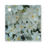 Paperwhite Narcissus Delicate White Flowers Favor Tags