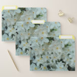Paperwhite Narcissus Delicate White Flowers File Folder