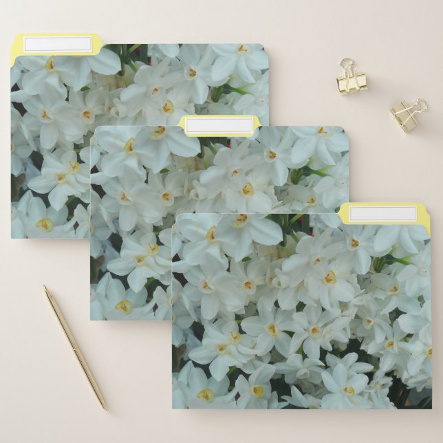 Paperwhite Narcissus Delicate White Flowers File Folder (Set)